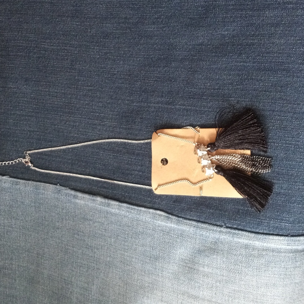 NWT silver tone and black tassel necklace